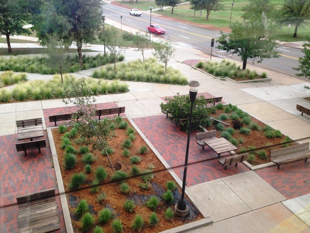 Downed trees near Media and Communication Building