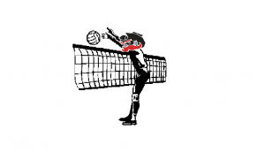 volleyball