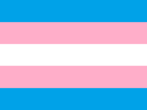 trans_pride_flag